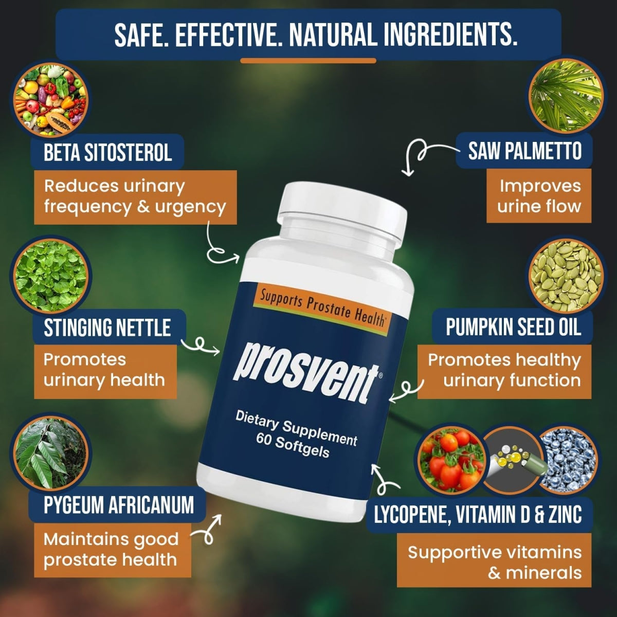 Prostate Support with Beta Sitosterol & Stinging Nettle, 60 Ct